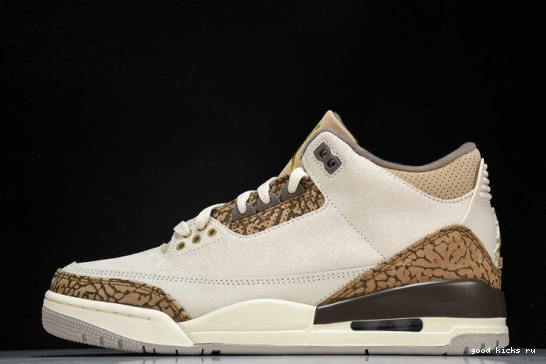 Retro Jordan  CT8532-102 CT8532-102 Palomino  3 0401